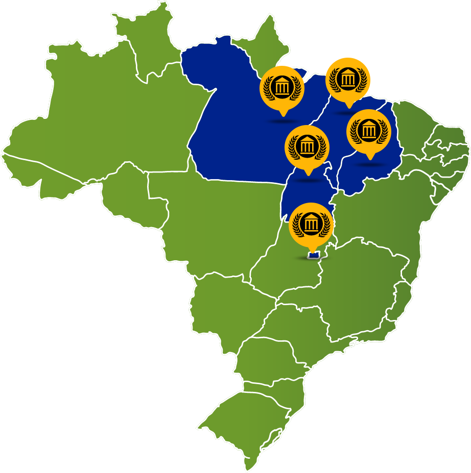 brazil 13